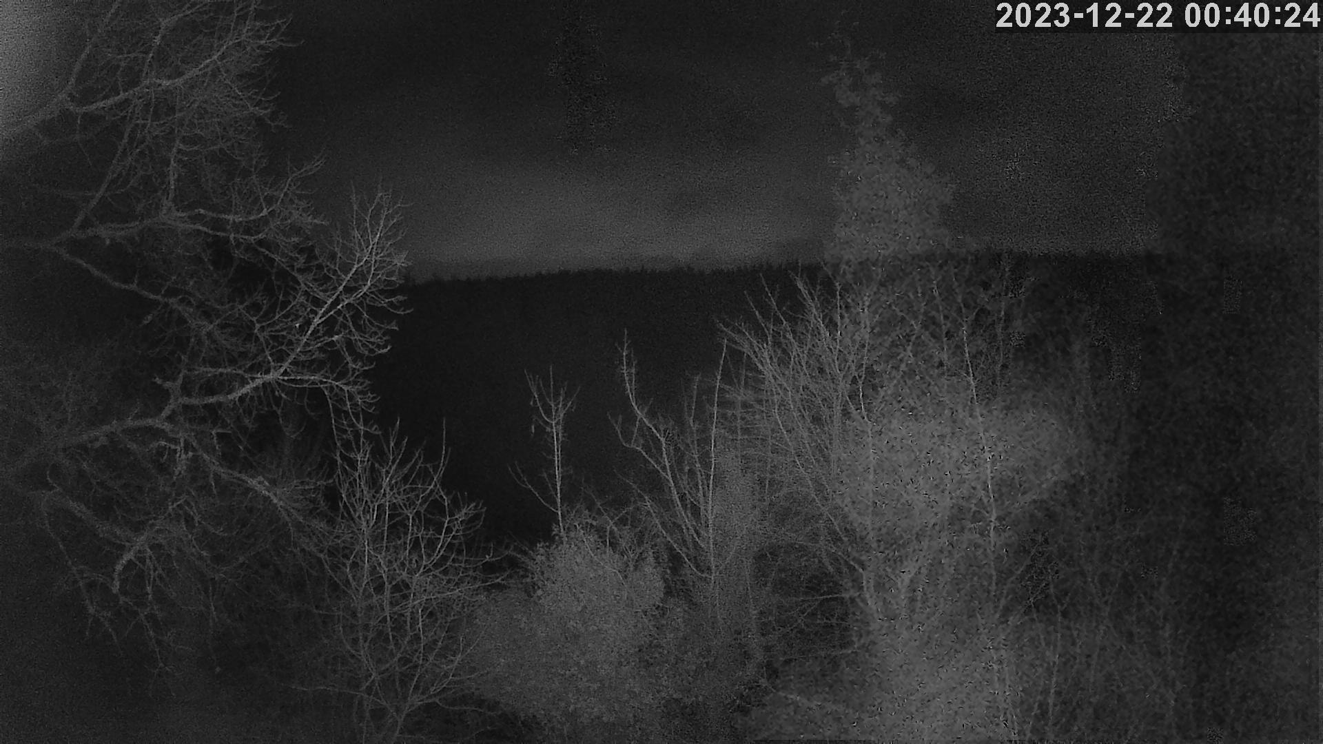 Webcam img missing
