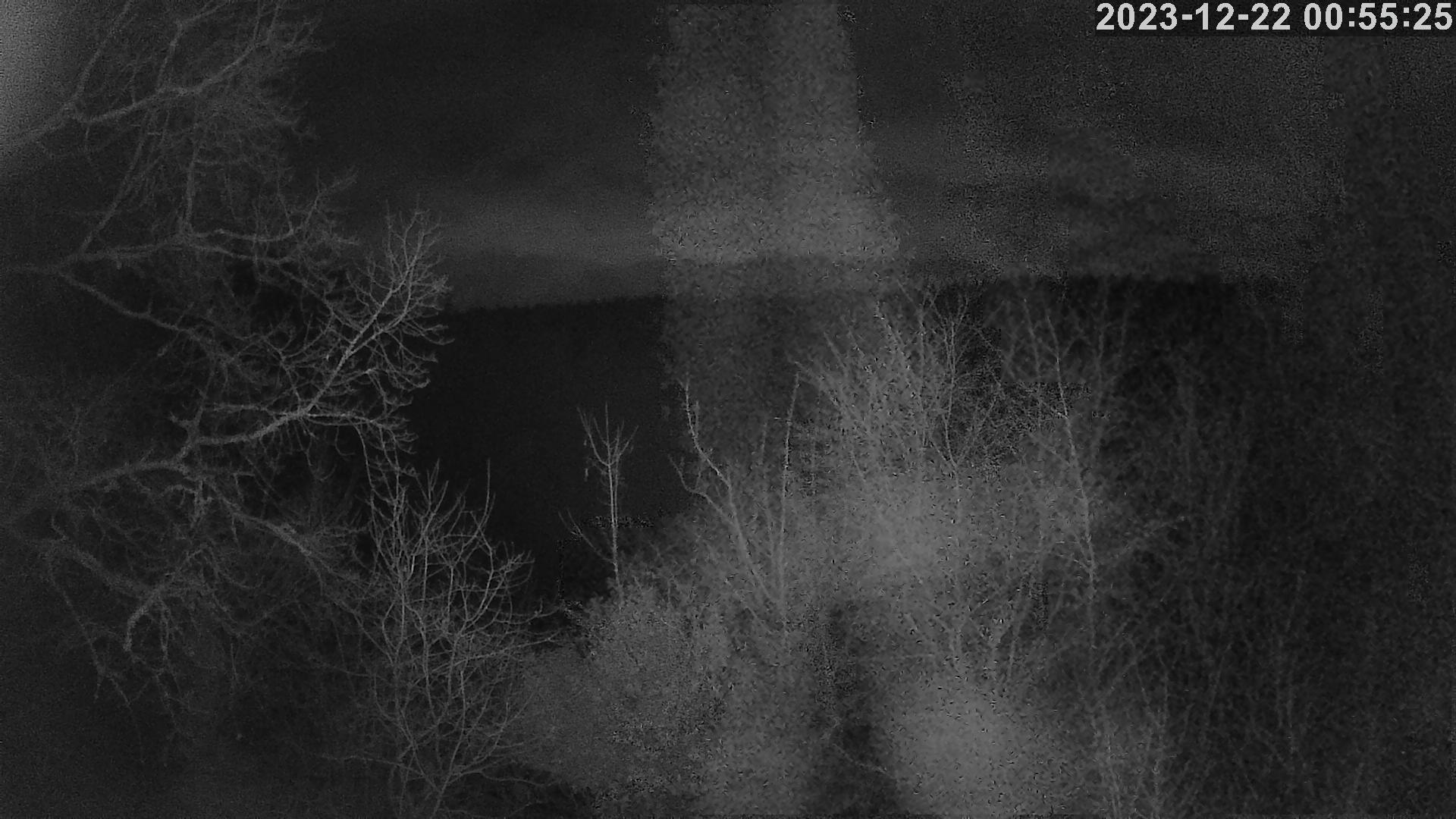 Webcam img missing